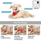 Percy Robot Cat - Interactive Emotional Support Pet Weighted