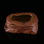 Water grass landscaping pet turtle food basin fish tank ornaments