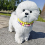 Dogs Necklace Extension Chain Design Pet Collar Fashion Dogs Faux Pearls Necklace Loop DIY Cat Dog Grooming Accessory