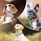 Personalized PU Leather Dog Collar with Custom Engraved ID Tag
